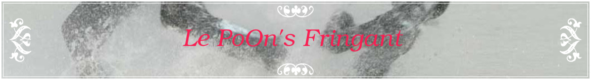 Le PoOn's Fringant 